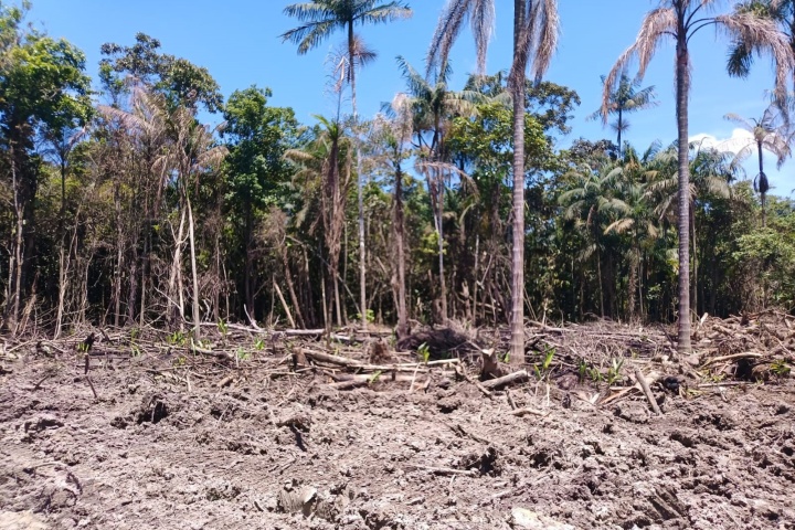 iat-aplicou-r$-40,2-milhoes-em-multas-por-danos-ambientais-no-primeiro-trimestre-de-2024