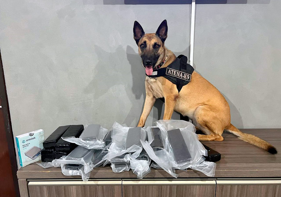 homem-e-preso-com-14,5-quilos-de-maconha-na-regiao