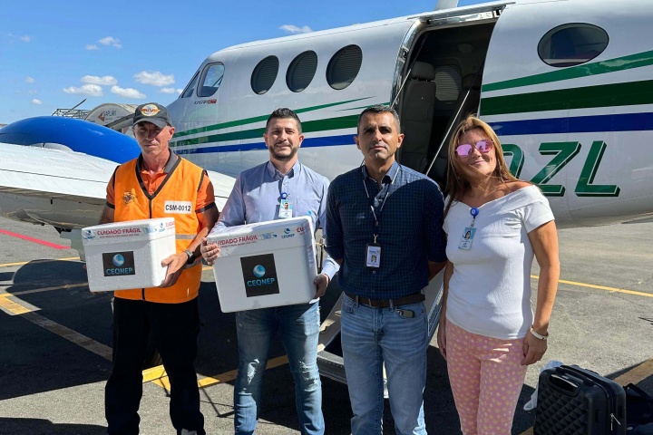avioes-do-parana-levam-veterinarios,-medicamentos-e-internet-ao-rio-grande-do-sul