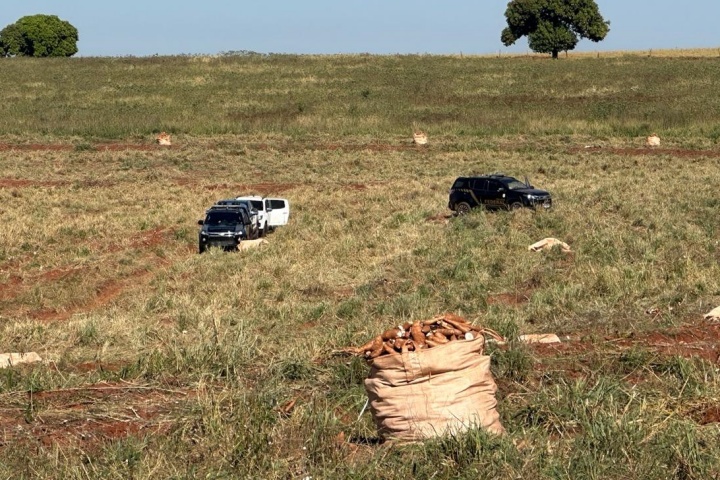 dez-trabalhadores-rurais-em-condicao-analoga-a-escravidao-sao-resgatados-em-perola