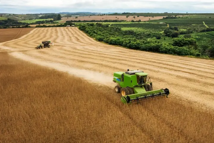 sicredi-apoia-o-setor-agropecuario-com-as-linhas-de-credito-no-plano-safra