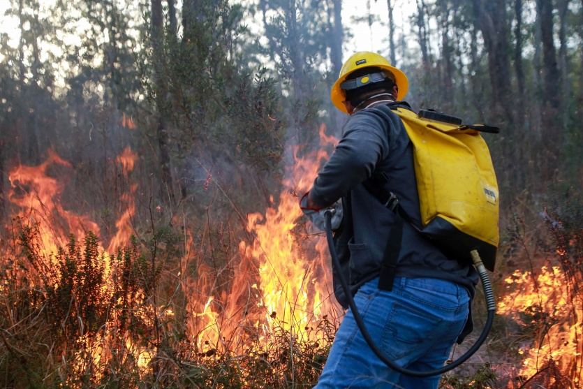 iat-emite-alerta-para-risco-elevado-de-incendio-em-unidades-de-conservacao-do-parana