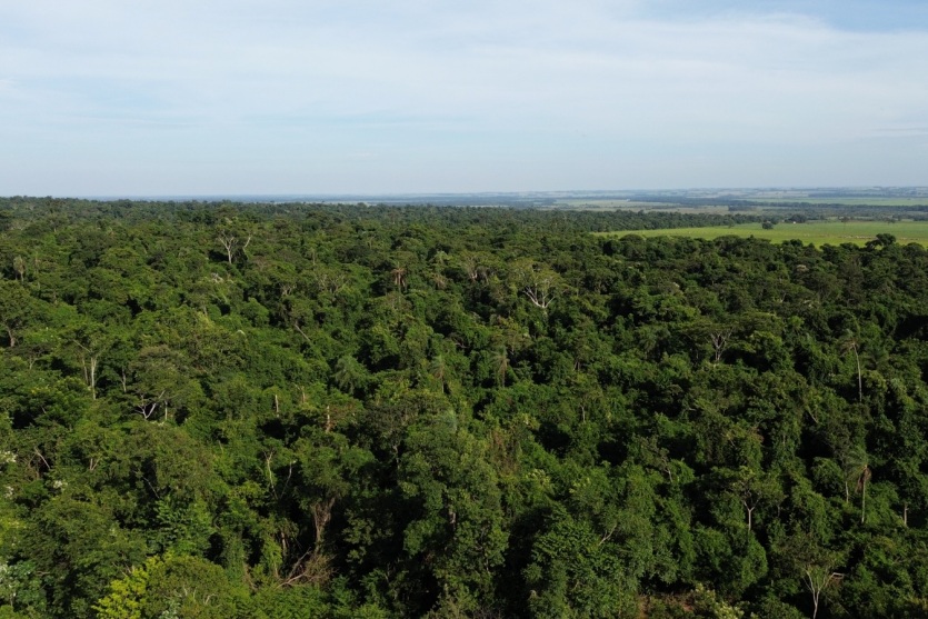 com-preservacao-de-uma-area-de-mata-virgem,-douradina-comemora-conquista-historica