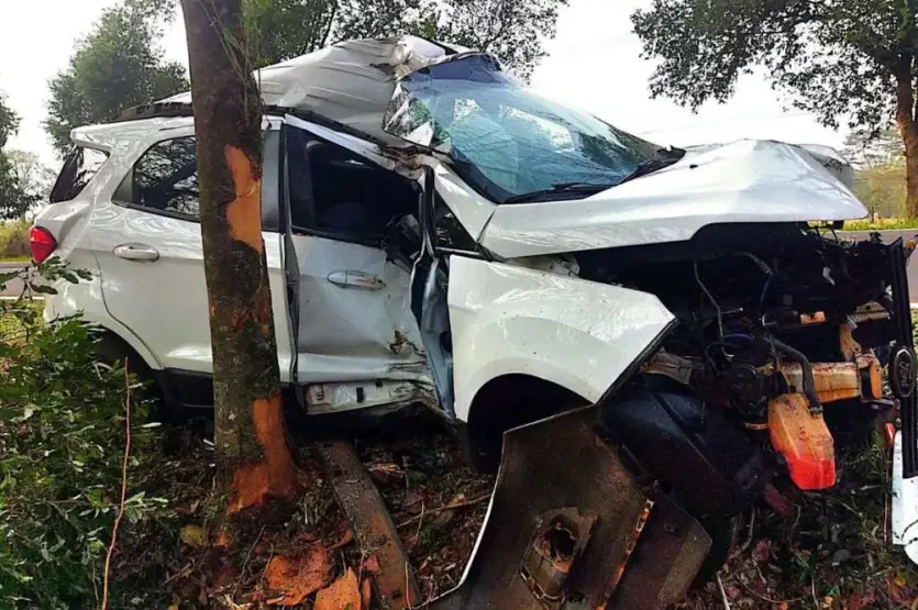 condutor-de-carro-com-placas-de-umuarama-perde-controle-da-direcao-e-bate-em-arvore