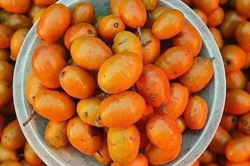 homem-morre-apos-engolir-100-carocos-de-seriguela