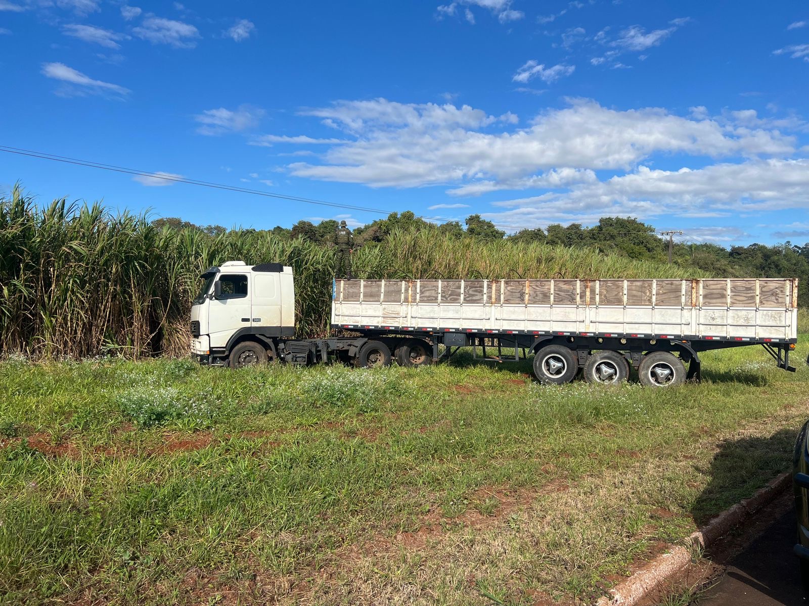 caminhoneiro-foge-a-pe,-apos-abandonar-carreta-com-quase-900-kg-de-maconha