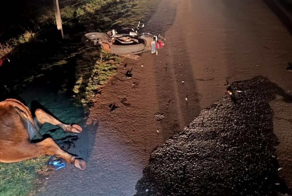 motociclista-fica-ferido-ao-atropelar-um-bovino-em-estrada-rural