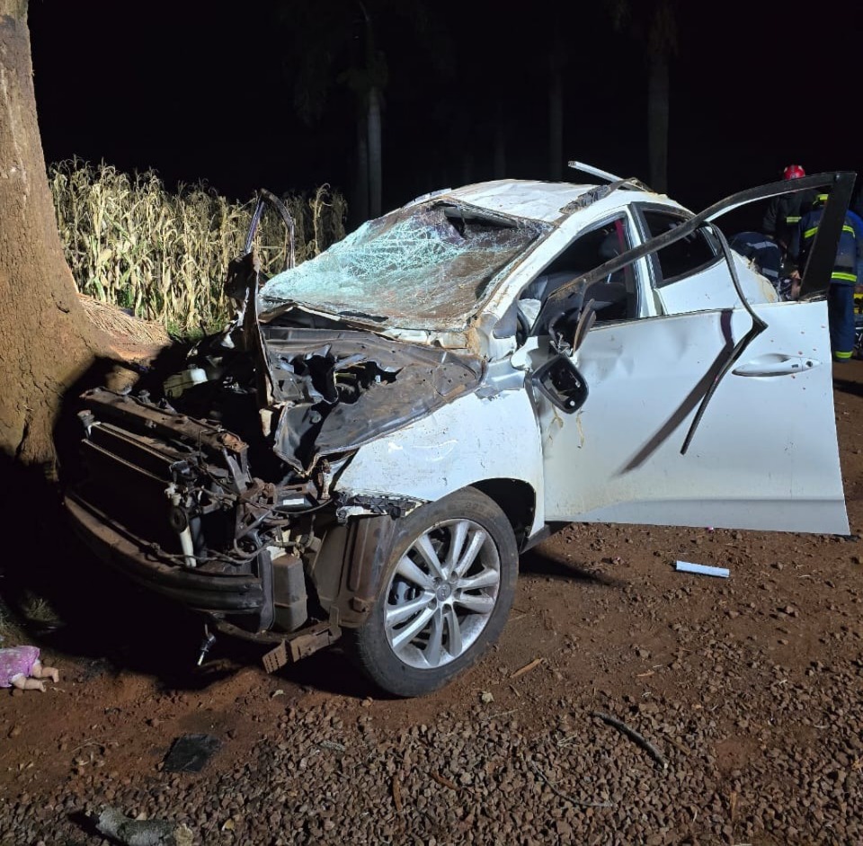 motorista-morre-e-passageiro-fica-ferido-em-capotamento-de-veiculo,-na-pr-182
