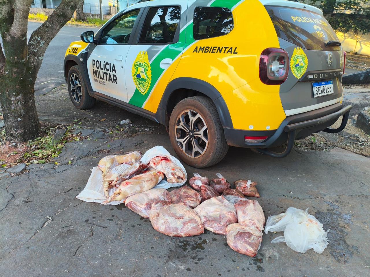 policia-ambiental-multa-cacador-em-r$-15-mil-e-apreende-animais-silvestres-abatidos