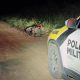 homem-fica-ferido-em-colisao-entre-carro-e-motocicleta,-na-rodovia-pr-492